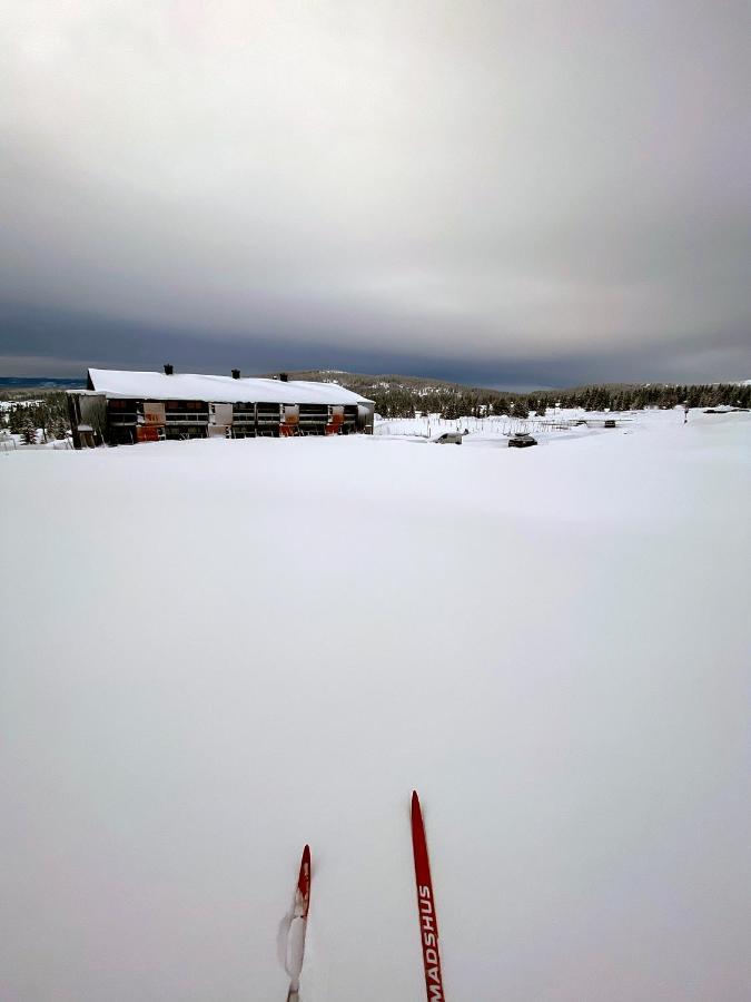 Lys Og Moderne Leilighet Rett Ved Skiloypa Pa Nordseter - Kort Vei Til Sjusjoen, Lillehammer Og Hafjell - Dyr Ikke Tillatt エクステリア 写真