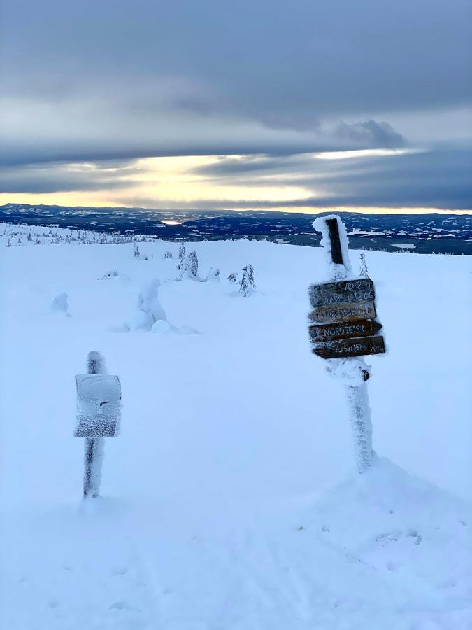 Lys Og Moderne Leilighet Rett Ved Skiloypa Pa Nordseter - Kort Vei Til Sjusjoen, Lillehammer Og Hafjell - Dyr Ikke Tillatt エクステリア 写真